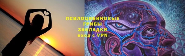 соль ск Аркадак