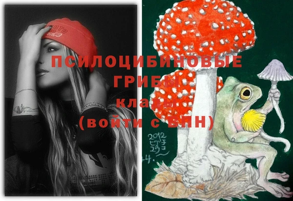 сатива Арсеньев
